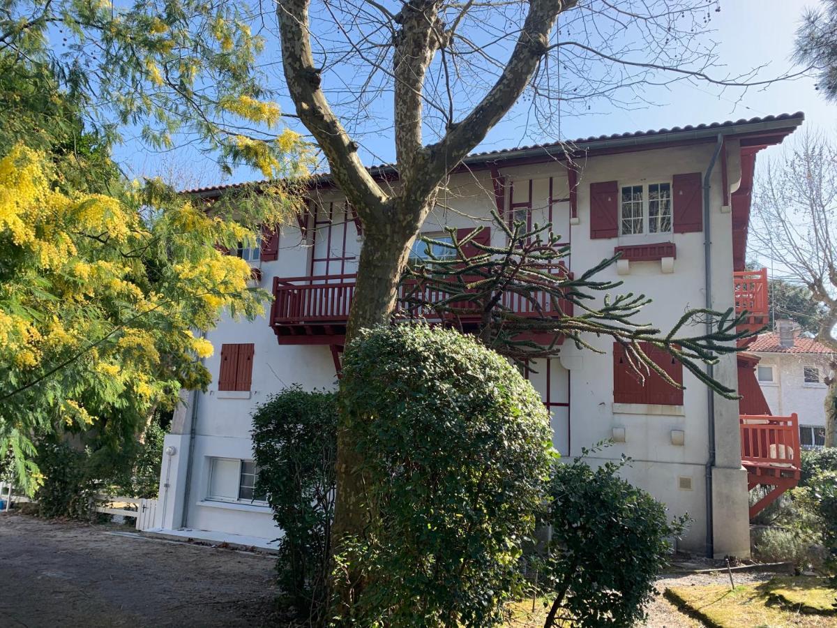 Le Ptit Moulleau Apartment Arcachon Luaran gambar